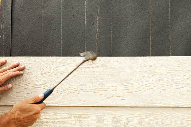 Affordable Siding Repair and Maintenance Services in Pine Ridge, SC
